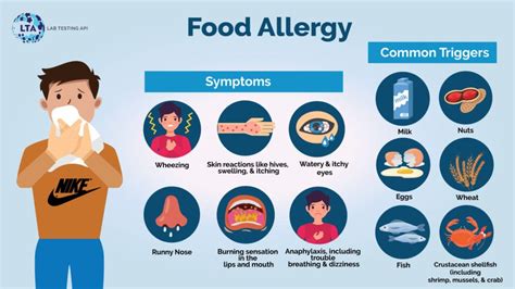 What You Need To Know if Your Child Has a Food Allergy .
